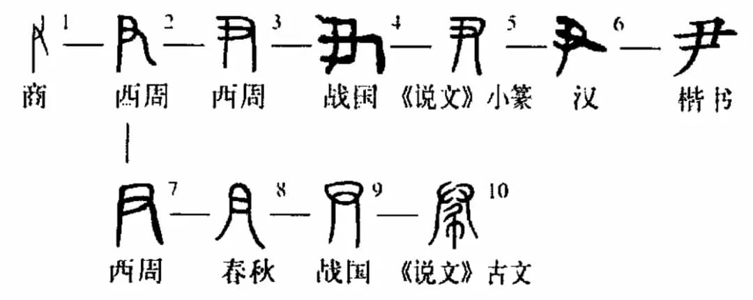 「尹」的汉字字源演变